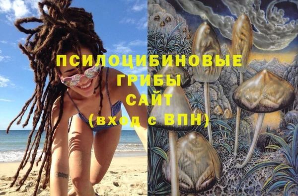 соль ск Богданович