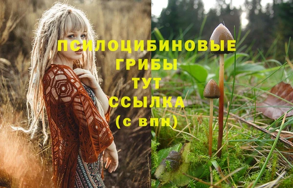 МДМА Богородицк