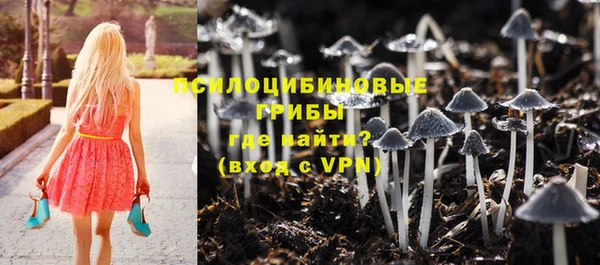 ALPHA-PVP Богородск