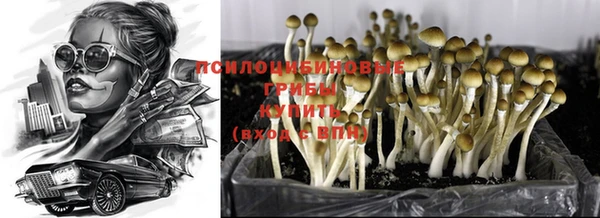 МДМА Богородицк