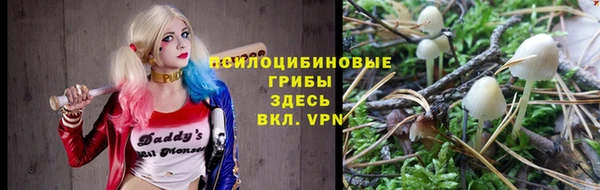 МДМА Богородицк