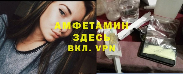 соль ск Богданович
