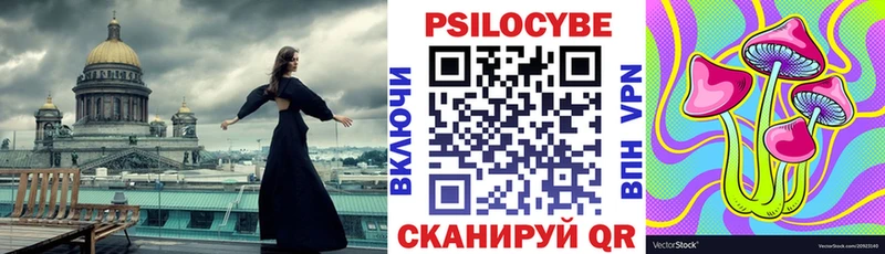 Галлюциногенные грибы Psilocybine cubensis Нурлат